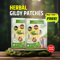 Herbal And Gentle Ingredient Detox Foot Pads(PACK OF 10)(BUY 1 GET 1 FREE)